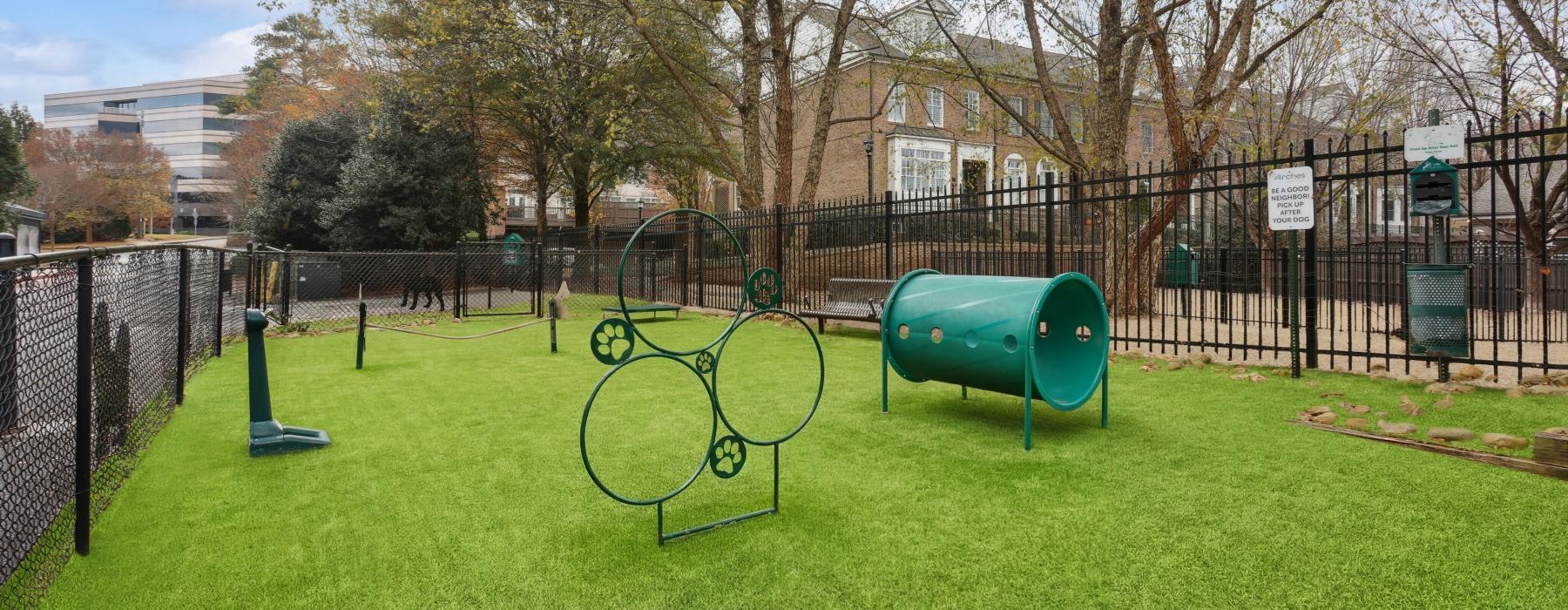 a dog park with a tunnel